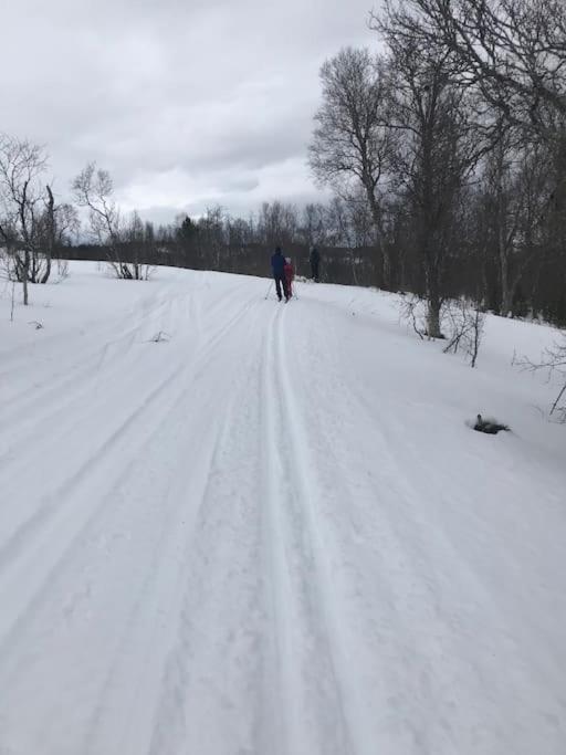 Trivelig Fritidshus Pa Arnes, Senja Straumstad Екстериор снимка