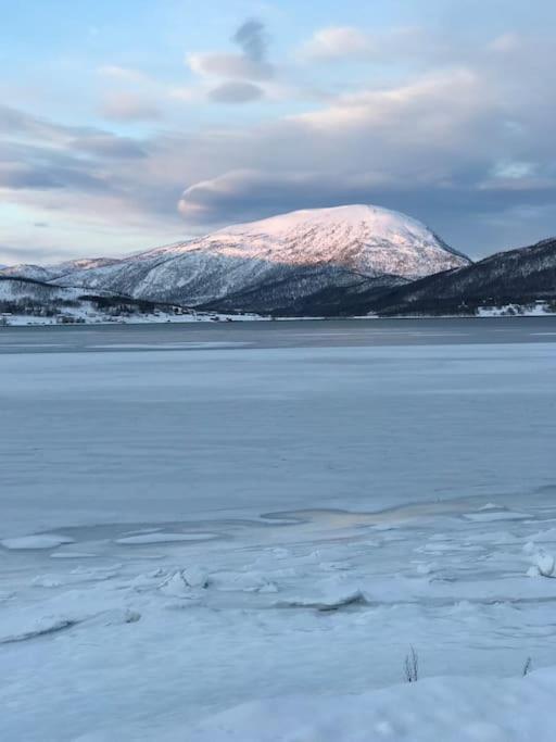 Trivelig Fritidshus Pa Arnes, Senja Straumstad Екстериор снимка