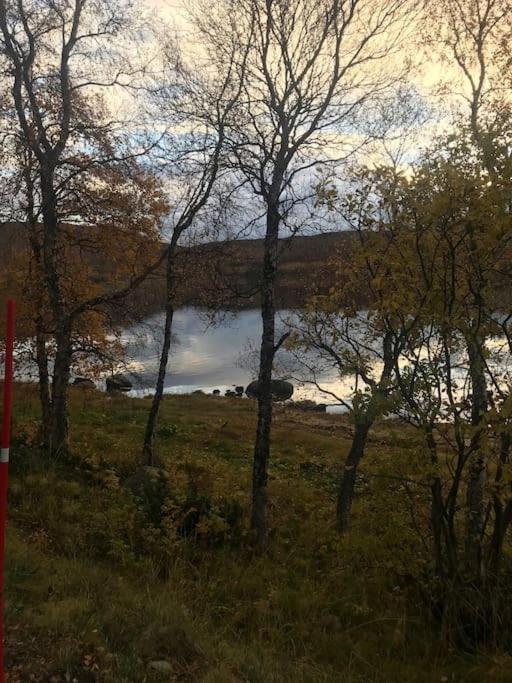 Trivelig Fritidshus Pa Arnes, Senja Straumstad Екстериор снимка