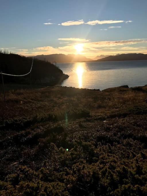 Trivelig Fritidshus Pa Arnes, Senja Straumstad Екстериор снимка