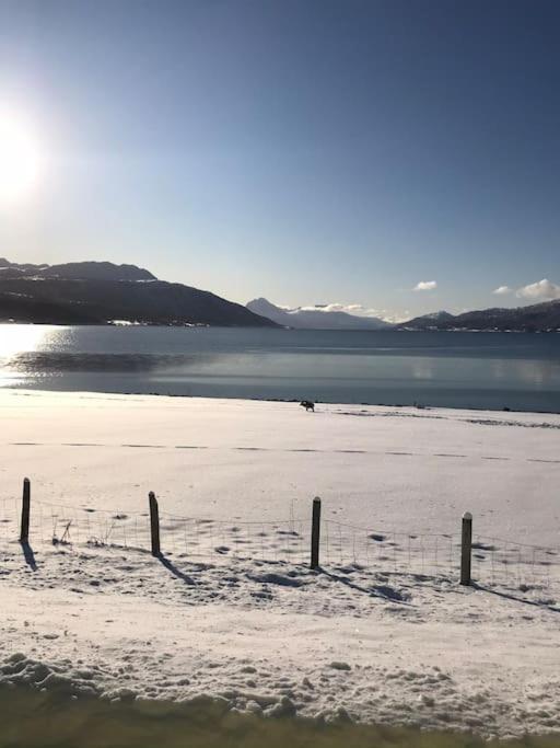 Trivelig Fritidshus Pa Arnes, Senja Straumstad Екстериор снимка