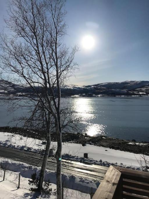 Trivelig Fritidshus Pa Arnes, Senja Straumstad Екстериор снимка